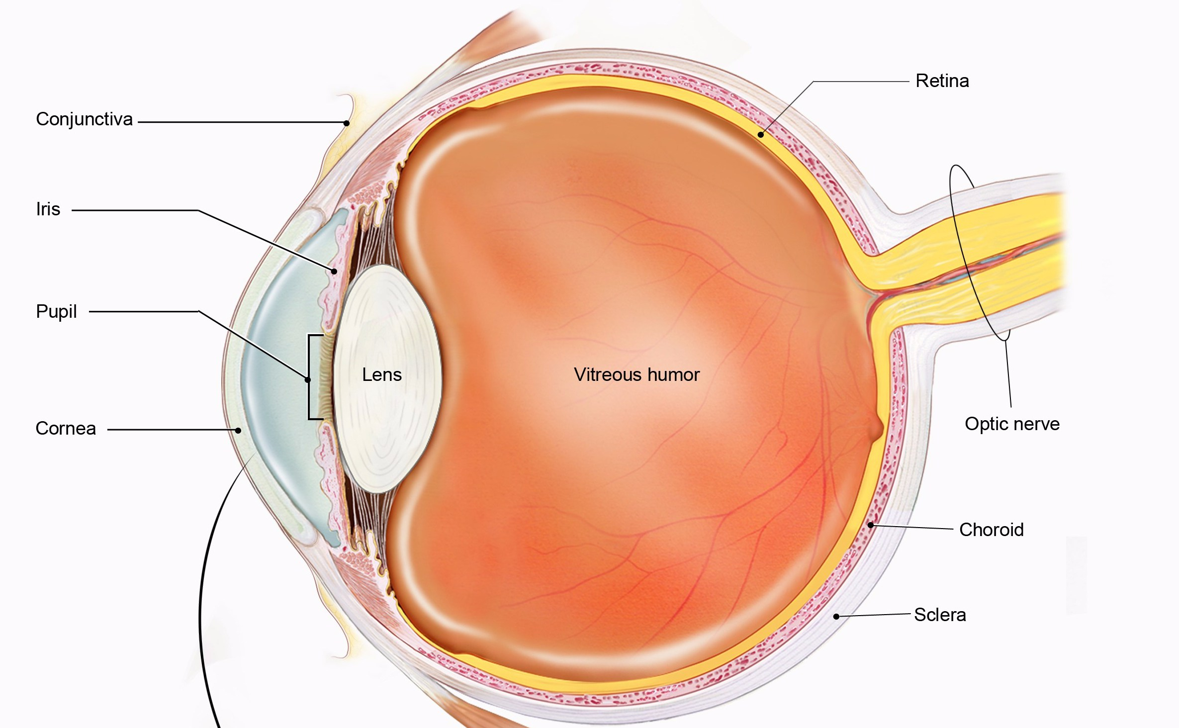 28021474805_0395e64b39_o