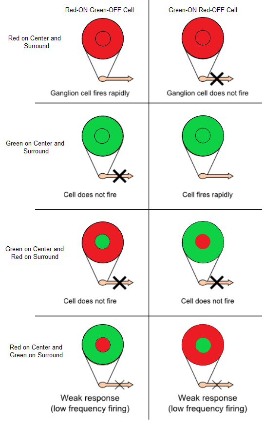 ganglion examples