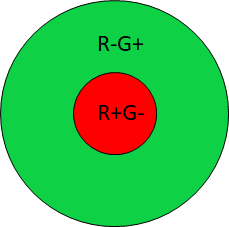 red green double opponent