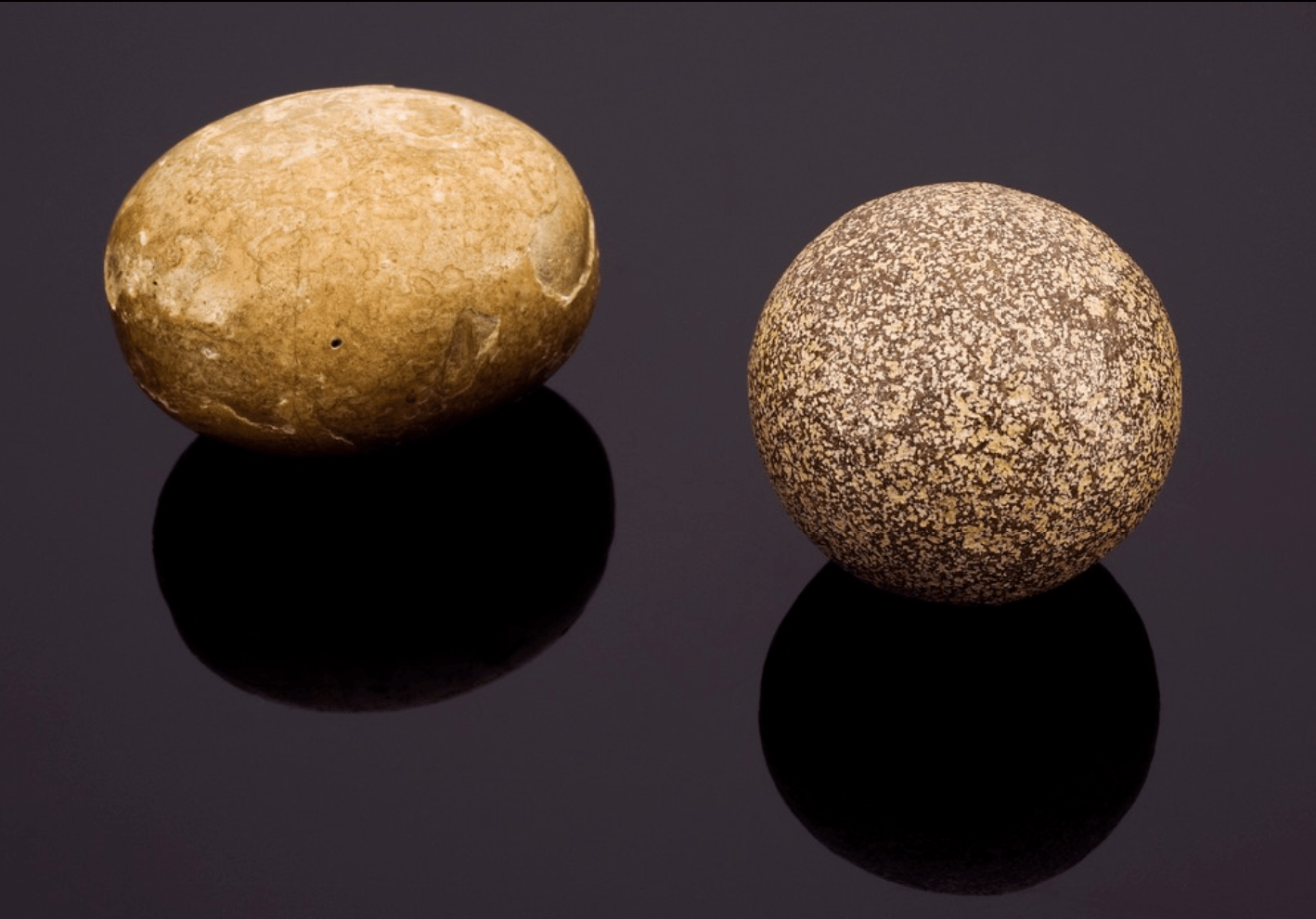 Screen Shot 2019-03-26 at 10.38.48 AM