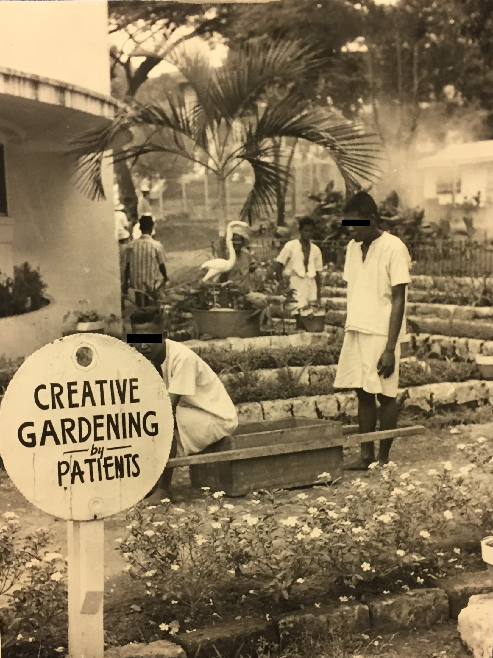 Creative gardening by patients