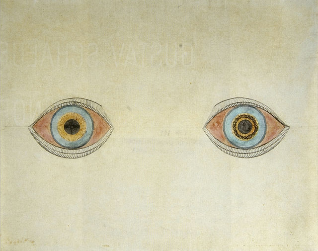 A drawing of two eyes set against a neutral background. Both eyes have orange sclera, while the left features a blue and yellow ringed iris and the right features an outer blue ring with two smaller red and yellow rings.