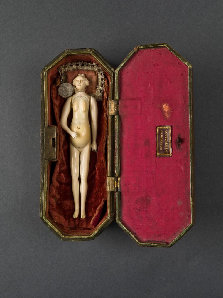 small ivory anatomical figure of a woman in a velvet-lined box.