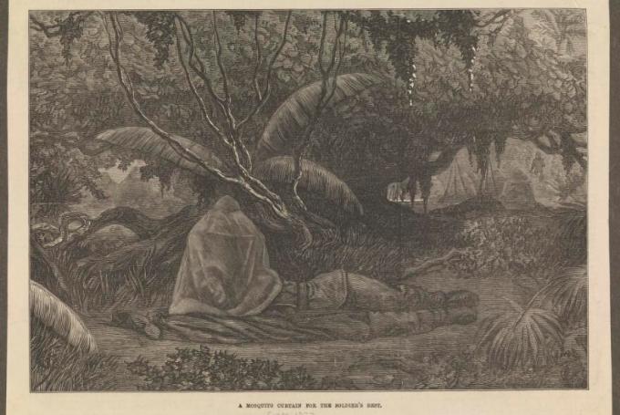 A soldier sleeps under the thickening tropical vegetation. A mosquito net enshroud his head.