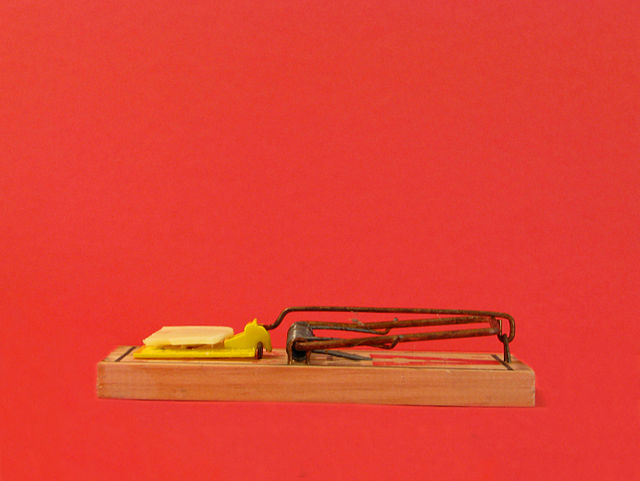 An image of a mousetrap against a red background.