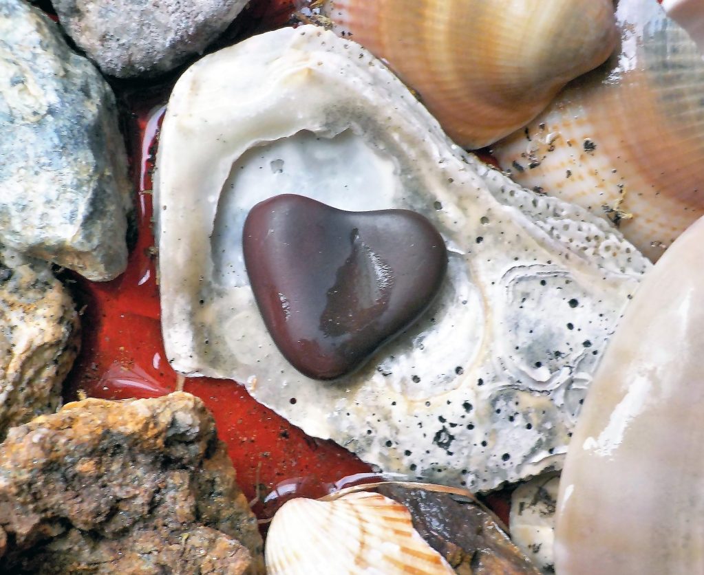 Heart stone surrounded be seashells